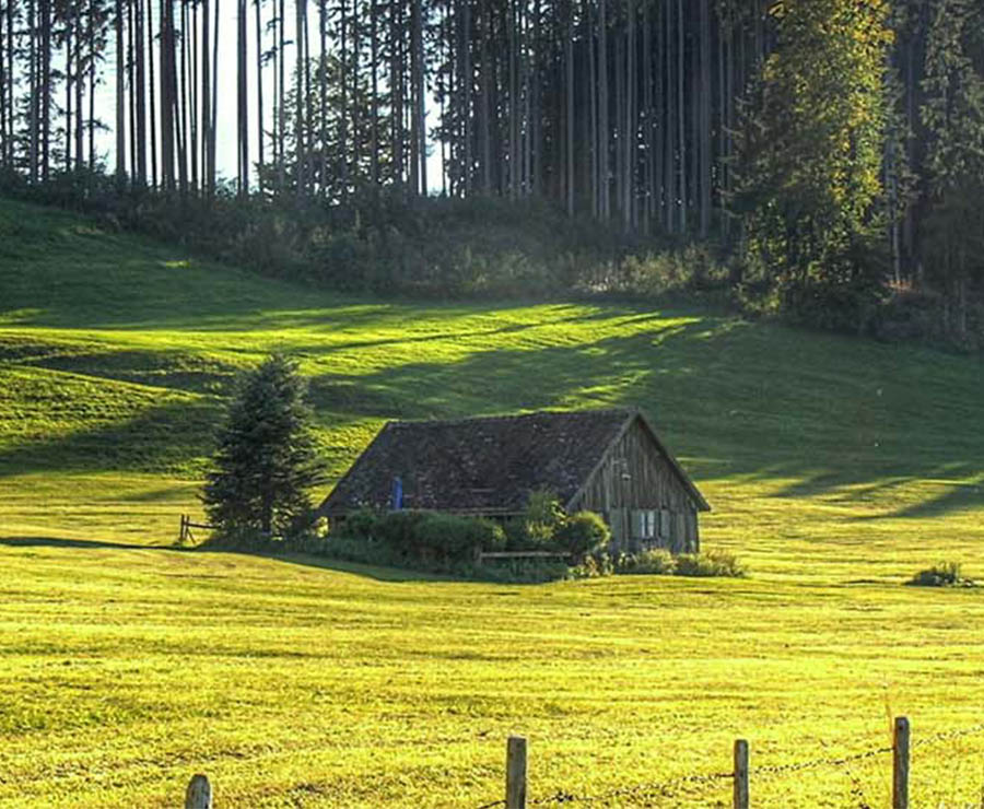 Ackerland-Wiese-Wald