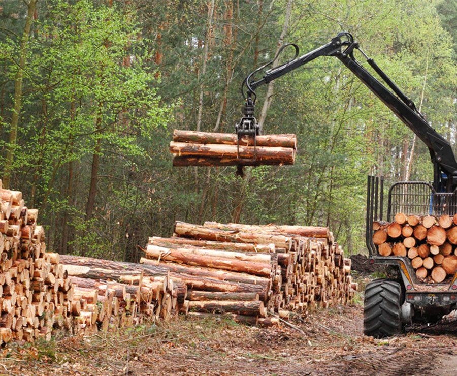 Holz-Verkaufen